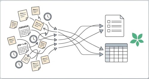 timetree